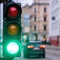 Florida's Operation Green Light Program