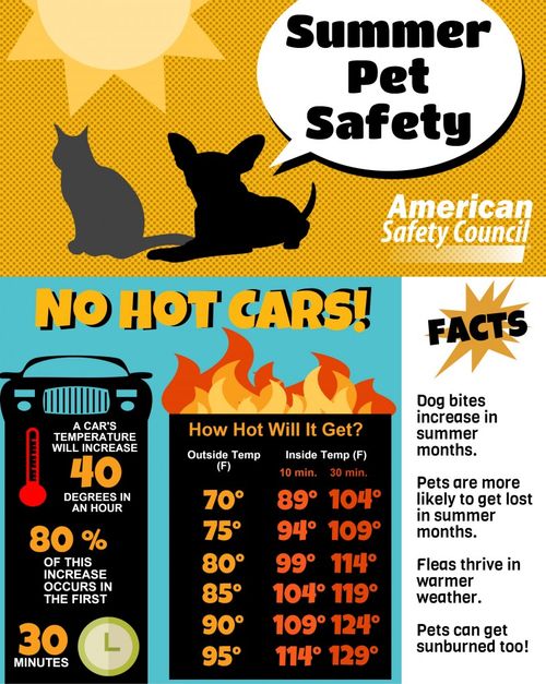 Pet Safety Summer Heat