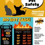 Pet Safety Series – Heat & Summer Pet Safety