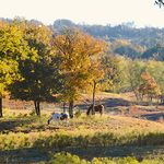 Best Fall Road Trips in Texas