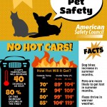 Summer Pet Safety Tips Infographic